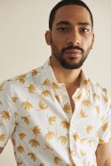 Camisa Tulip