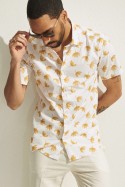 Camisa Tulip