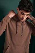 Buzo Hoodie Albani