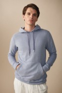 Buzo Hoodie Albani