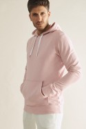Buzo Hoodie Albani